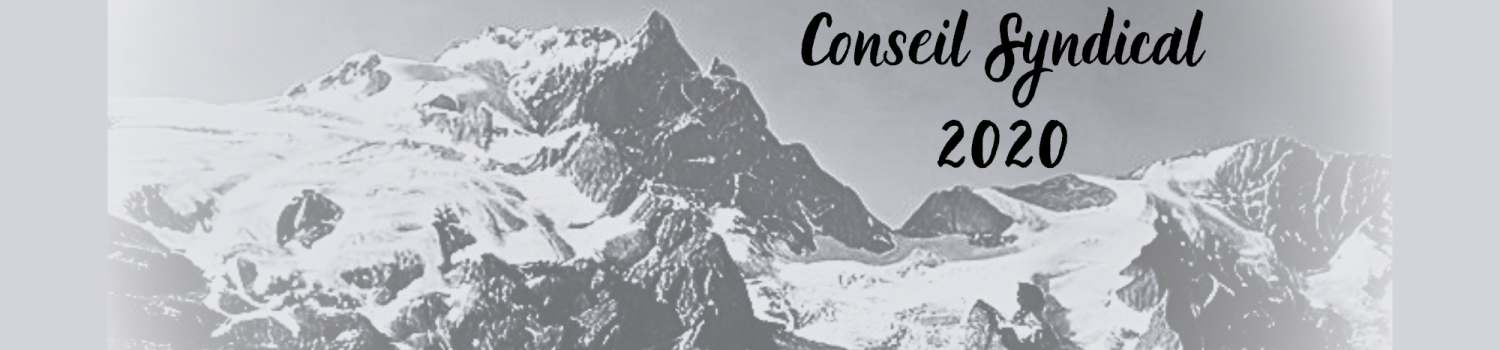 Conseil Syndical 2020
