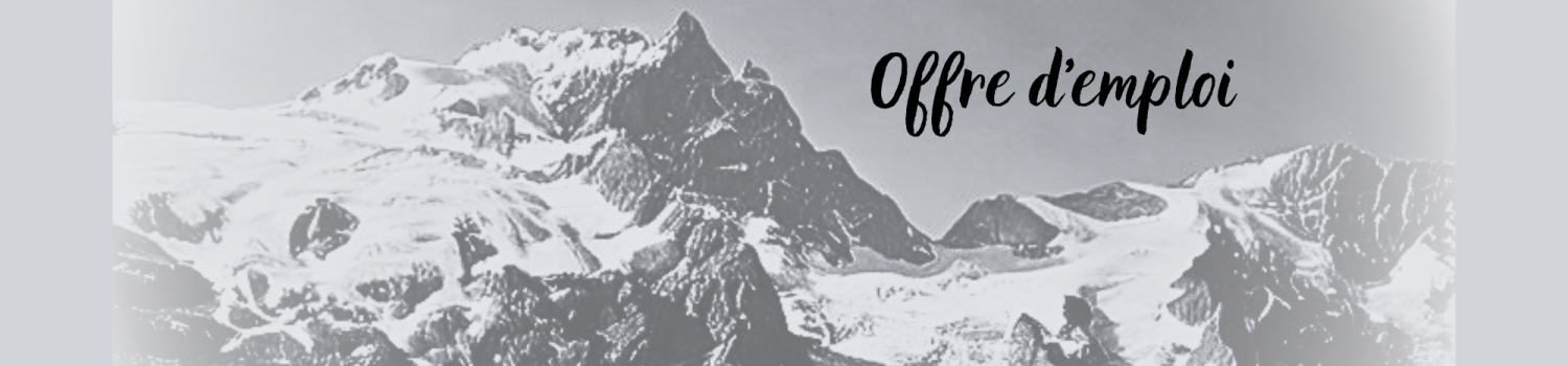Offre d'emploi